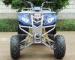 Front Double A - Arm Utility Vehicles ATV 250cc With 8" Rim Manual Clutch 4 - Speed + Reverse