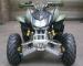 Extra Large Youth Racing Atv 250cc Atv Quad Bike CDI Electric Start Manual Clutch