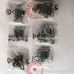 galvanized iron nails packaging