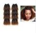 Highlighted Deep Curly Remy Ombre Hair Extensions For Black Women