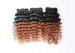 Ombre Virgin Brazilian Hair Deep Wave Two Tone Ombre Hair Extensions 1b/30