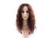 Natural Black Unprocessed Brazilian Front Lace Hair Wigs Natural Looking Wigs