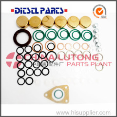 Repair Kits for Ve Pumps-Diesel Injection Pump Rebuild Kit