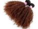 Full Cuticles Brazilian 100% Virgin Remy Curly Human Hair Extensions No Lice