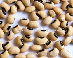 BLACK EYE BEANS (Koki Beans)