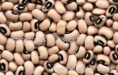 BLACK EYE BEANS (Koki Beans)