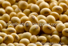 Grade AA Quality SoyBeans