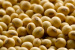 Grade AA Quality SoyBeans