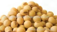 Grade AA Quality SoyBeans