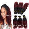 8A Brazilian Virgin Hair Ombre Human Hair Extensions 1B / 99J Kinky Curly Hair