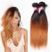 Grade 7A Ombre Human Hair Extensions Ombre Brazilian Straight Hair