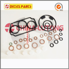 Ve Pump Rebuild Kits for Isuzu-Repair Kits