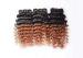 Ombre Virgin Brazilian Hair Deep Wave Two Tone Ombre Hair Extensions 1b/30