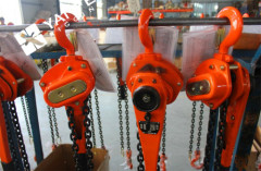 Electric Chain Hoist with Affordable Price