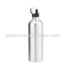 Stainless Steel Sport Bottle