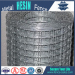 HOT-DIPPED GALVANIZED WELDED WIRE MESH