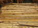 Moso bamboo poles for fencing decoration