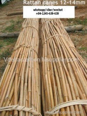 Material Rattan Canes for furnituring