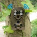 Ereagle Multifunction Trail Camera with 940nm LED