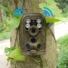 Wholesale 12MP High-Quality Resolution Waterproof Digital Hunting Trail Camera