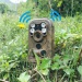 Cheap 1080P 12MP High Resolution Camo Color Trail Camera for Animal Hunting