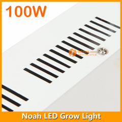 100W Noah LED Grow Light