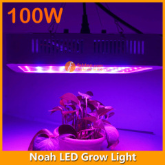 100W Noah LED Grow Light