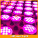 12W Retrofit LED Plant Light