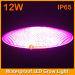 12W IP65 LED Grow Bulb