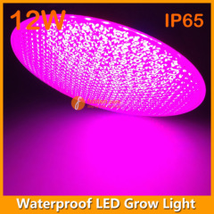 12W IP65 LED Grow Bulb