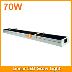 3FT 70W LED Grow Lighting