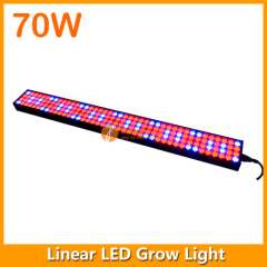3FT 70W LED Grow Lighting