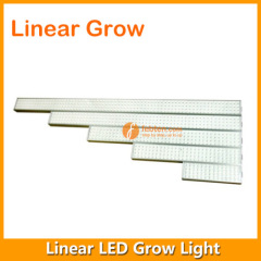 3FT 70W LED Grow Lighting