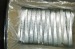 Galvanized or Black U Shape Wire