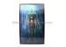 PET 3D Lenticular Poster For Decoration Personalized Offset Printing