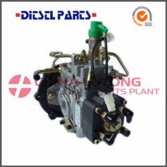 Diesel Fuel Injection Pump-Ve Pump Assembly
