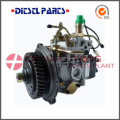 Diesel Fuel Injection Pump-Ve Pump Assembly