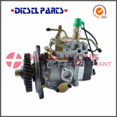 Diesel Fuel Injection Pump-Ve Pump Assembly