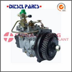 Diesel Fuel Injection Pump-Ve Pump Assembly