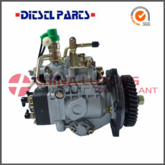 Diesel Fuel Injection Pump-Ve Pump Assembly