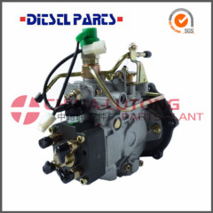 Diesel Fuel Injection Pump-Ve Pump Assembly