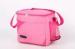 Children Small Carry Shoulder Polyester Cooler Bag Insulated Waterproof