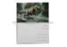 PET/ PP Lenticular Postcard Printin 3D / Flip Effect Dinosaur Image Card