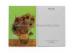 PET / PP Plastic 3D Lenticular Postcard Oil Painting Design above 300DPI