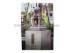 Landscape Lenticular Poster Printing PET / PP Lenticular Material Flip Effect 3d Printing Images