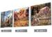 Customised Framless 3D Lenticular Pictures 40x40cm Animal Images