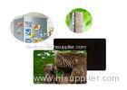 PP / PET 3D Lenticular Magnet