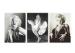 CMYK Craft 3D Lenticular marilyn monroe photos Flip Effect Lenticular Printing Stock
