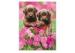 Cartoon 3D Lenticular Pictures PET for Kid's Room Decoration