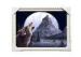 CMYK 3D Wolves Image Lenticular 3d Pictures PS Frame For Office Decoration